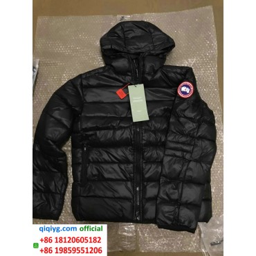 How to order from qiqiyg | So bestellen Sie bei qiqiyg.com whatsapp QW314