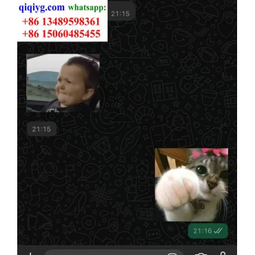 qiqiyg.com Offizielle Bewertungen qiqiyg reviews QB008