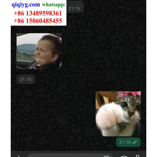 qiqiyg.com Offizielle Bewertungen qiqiyg reviews QB008