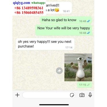 qiqiyg.com Offizielle Bewertungen qiqiyg reviews QB105
